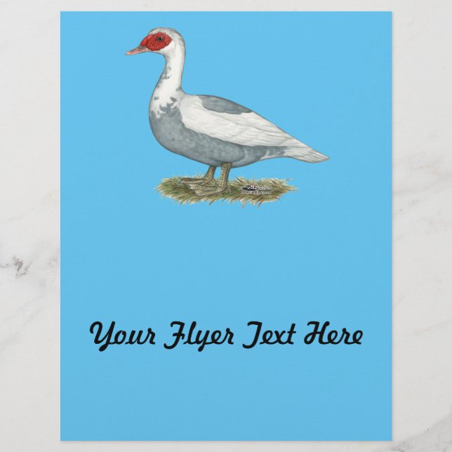 Muscovy Blue Pied Anka Reklamblad (Framsidan)