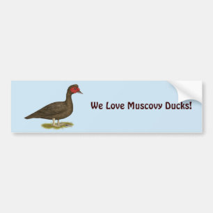 Muscovy Drake Chocolate Bildekal
