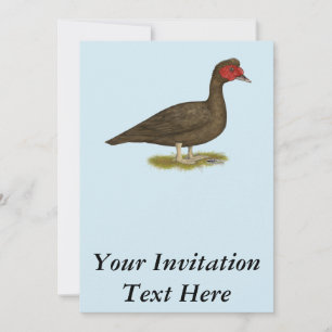Muscovy Drake Chocolate Inbjudningar