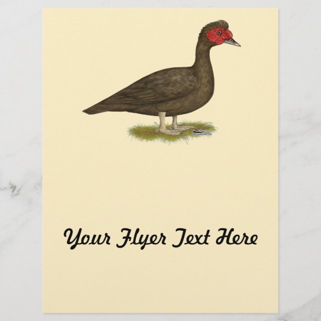 Muscovy Drake Chocolate Reklamblad (Framsidan)