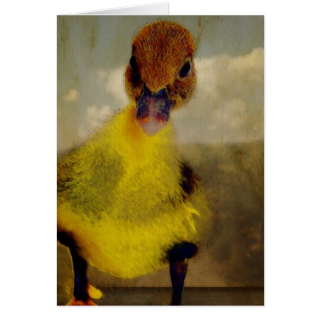 Muscovy Dreamin' Hälsningskort (Framsidan)