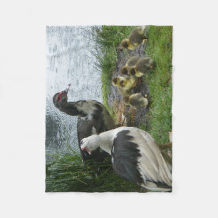 Muscovy duckar och Ducklingsullfilten Fleecefilt