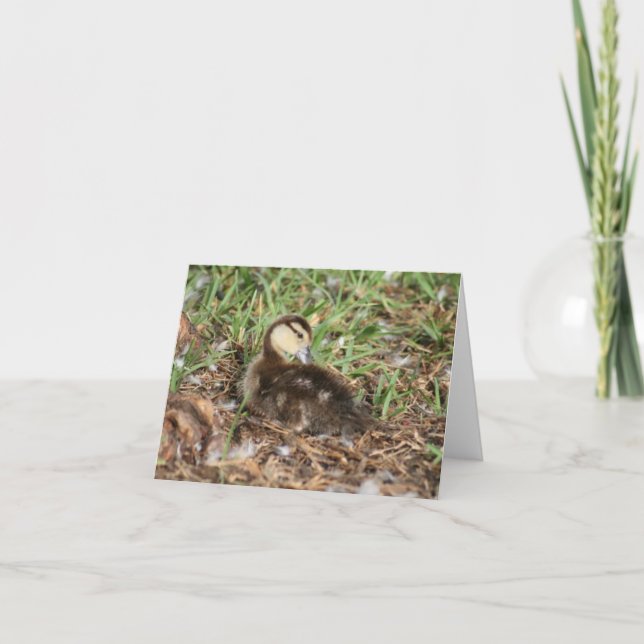 Muscovy Duckling Photo Foled Note Card Anteckningskort (Framsida)