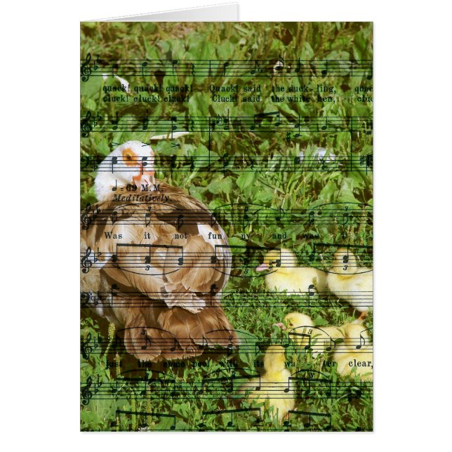 Muscovy Hen och Ducklings med Duckling Sång Hälsningskort (Framsidan)