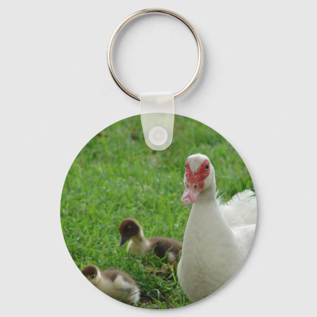 Muscovy Hen och Ducklings Nyckelring (Framsida)