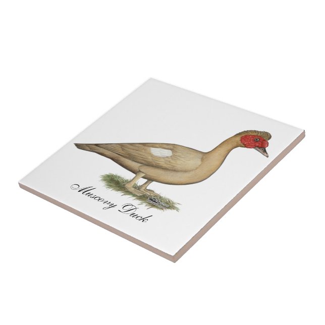 Muscovy Light Chocolate Drake Kakelplatta (Sidan)