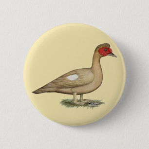 Muscovy Light Chocolate Drake Knapp