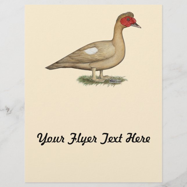 Muscovy Light Chocolate Drake Reklamblad (Framsidan)