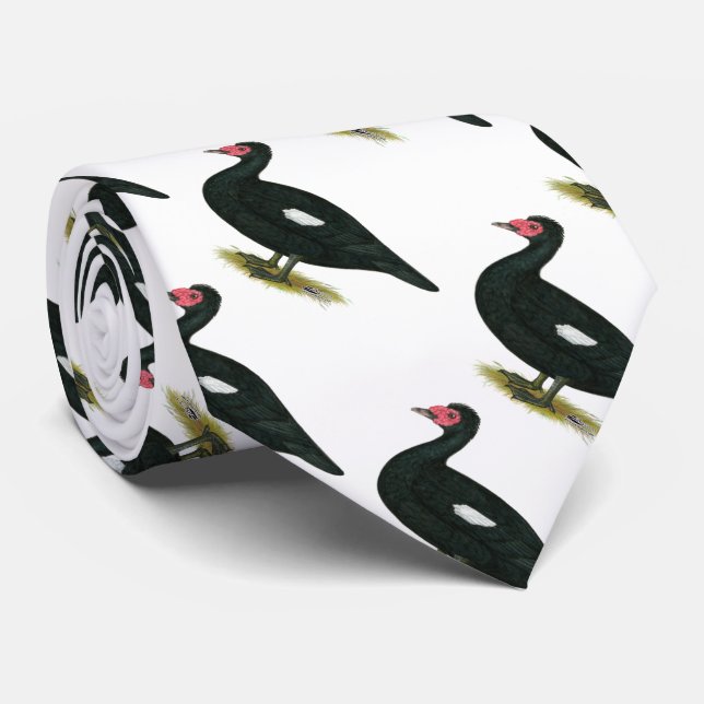 Muscovy svart drake slips (Rullad)