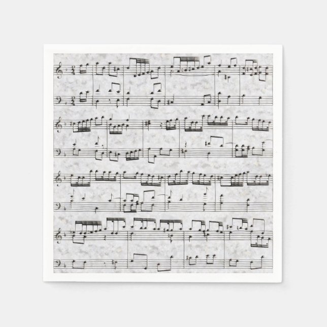 Muscy Pappersservett (Framsidan)