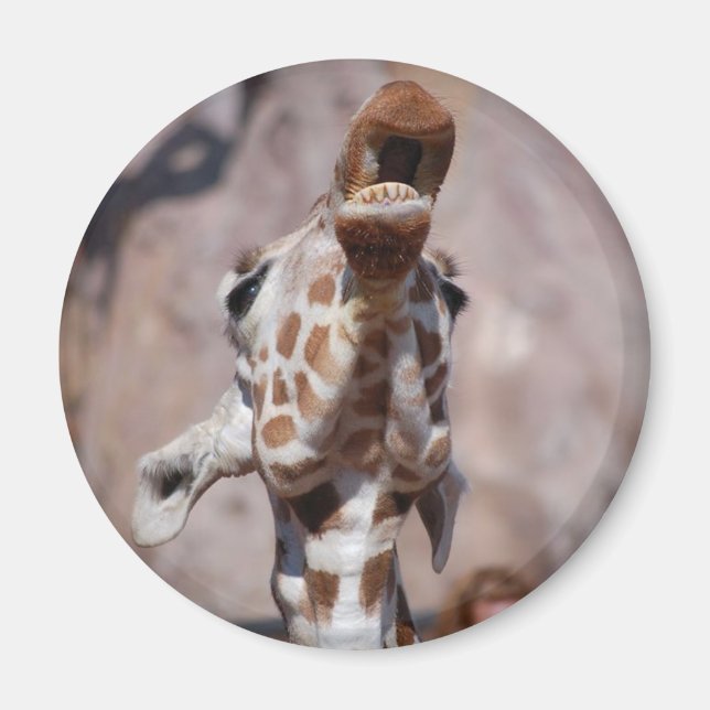 Muse Magnet #1 (Framsidan)