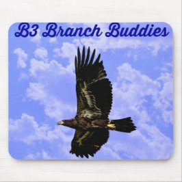 Musen B3 vadderar Musmatta