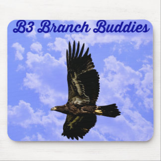 Musen B3 vadderar Musmatta