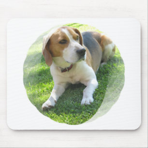 Musen för Beaglehundhunden vadderar Musmatta