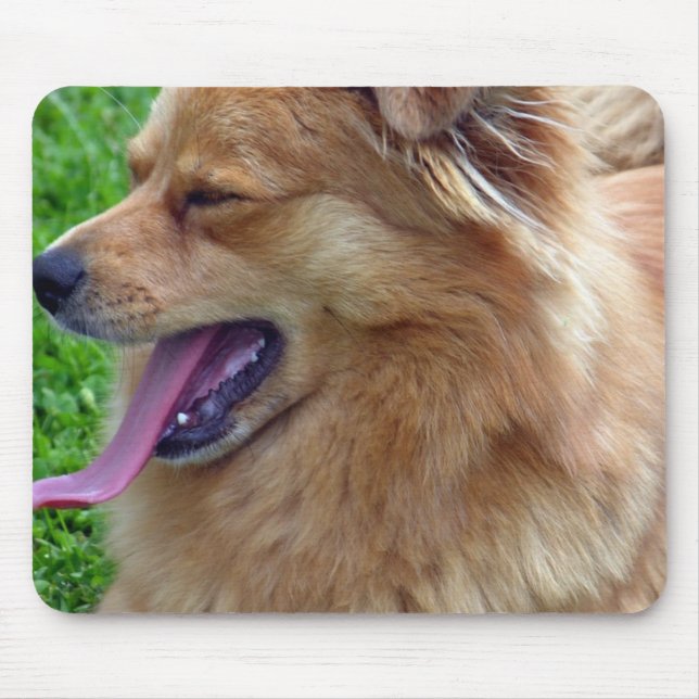 Musen för ChowChow vadderar Musmatta (Framsidan)