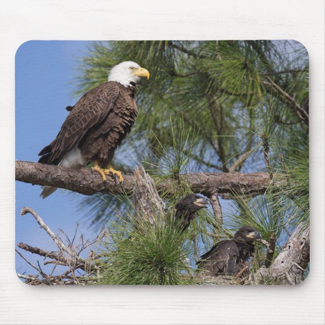 Musen för datoren E10 & E11 vadderar Musmatta (Framsidan)