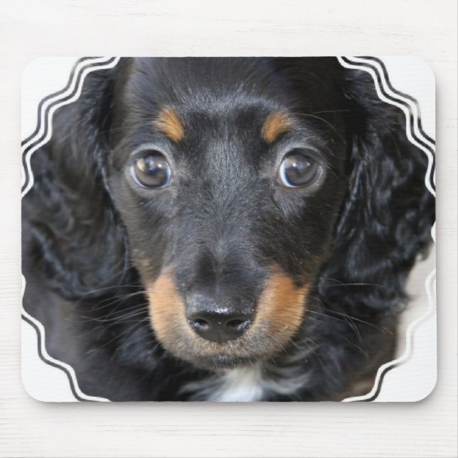 Musen för den Daschund valphunden vadderar Musmatta (Framsidan)