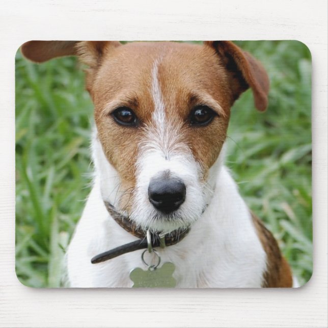 Musen för den jackRussell terrieren vadderar Musmatta (Framsidan)