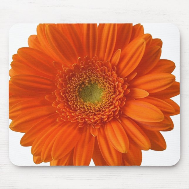 Musen för den orange daisyn vadderar musmatta (Framsidan)