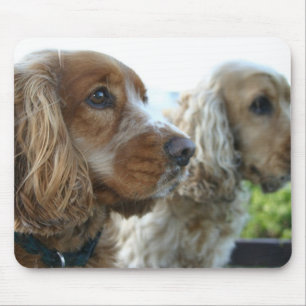 Musen för engelskacockerspanielspanielen vadderar musmatta