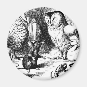 Musen och den torra berättelsen magnet