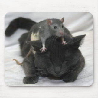 Musen och kattmusen vadderar musmatta