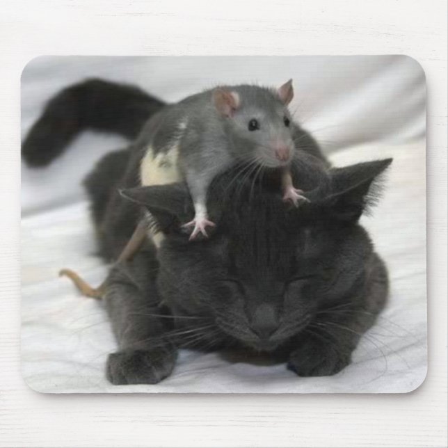 Musen och kattmusen vadderar musmatta (Framsidan)