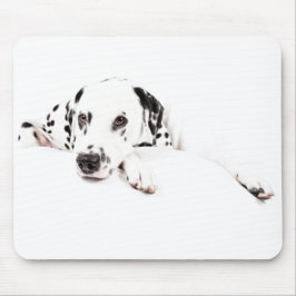 Musen vadderar Dalmatiner Musmatta