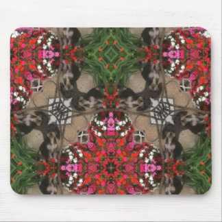 Musen vadderar moxie musmatta