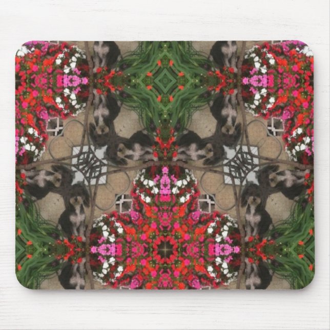 Musen vadderar moxie musmatta (Framsidan)