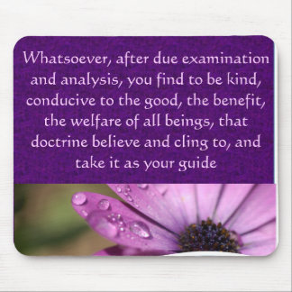 Musen vadderar musmatta