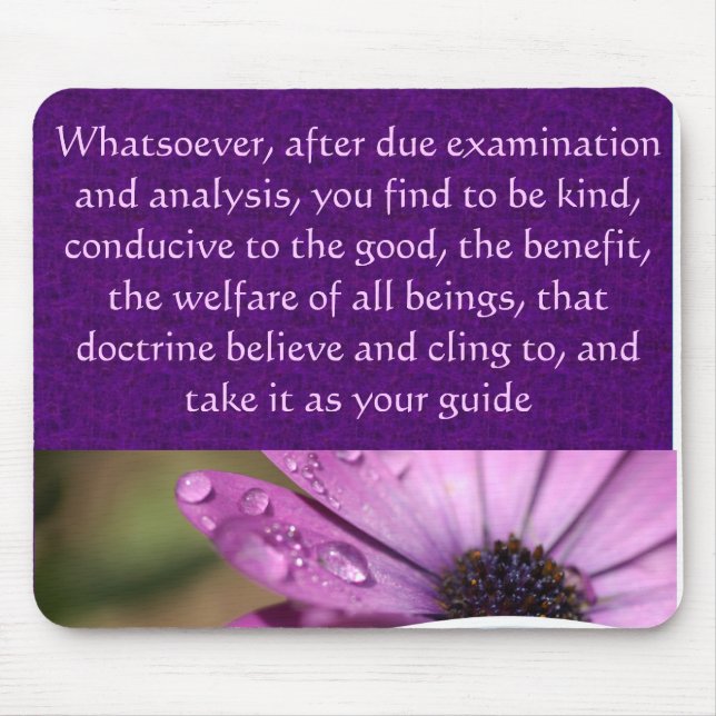 Musen vadderar musmatta (Framsidan)