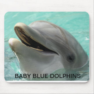 MUSEN VADDERAR MUSMATTA