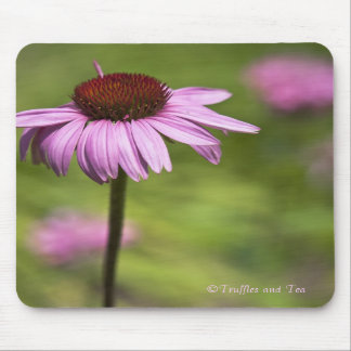 Musen vadderar musmatta