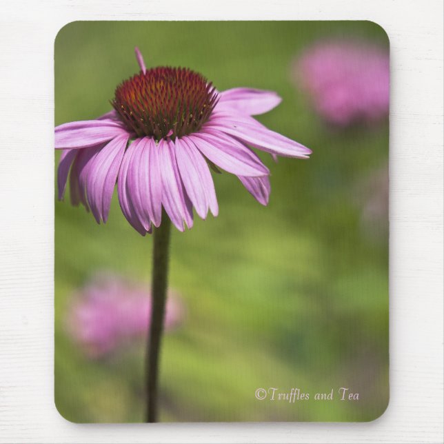 Musen vadderar musmatta (Framsidan)