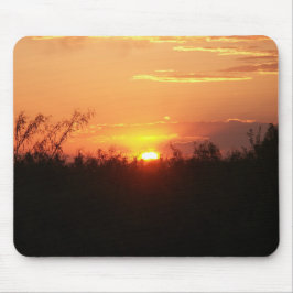 Musen vadderar musmatta