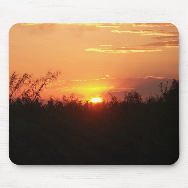 Musen vadderar musmatta (Framsidan)