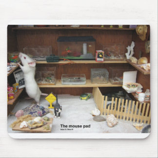 Musen vadderar musmatta