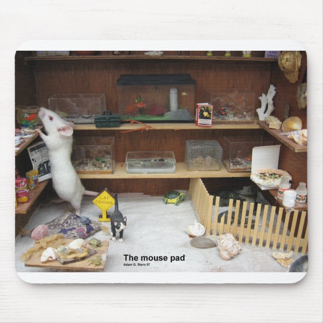 Musen vadderar musmatta (Framsidan)