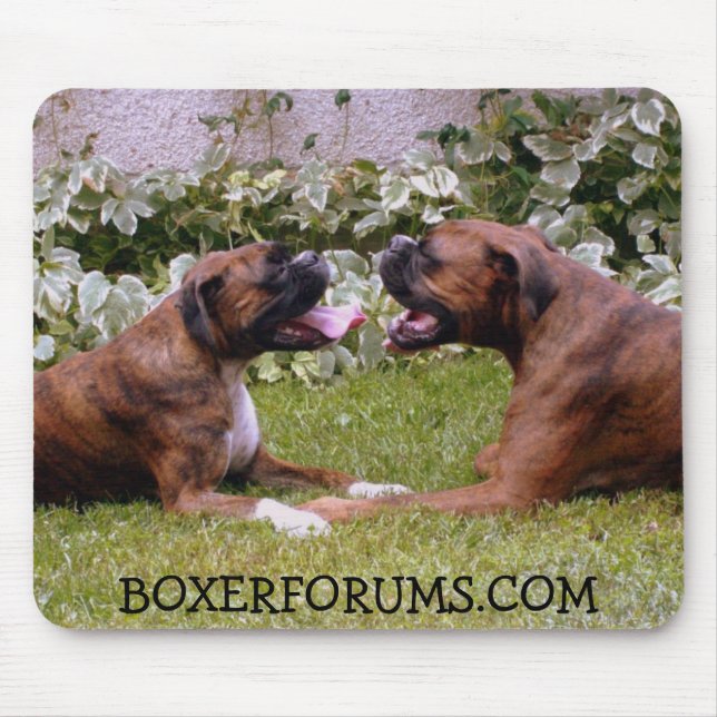 Musen vadderar musmatta (Framsidan)