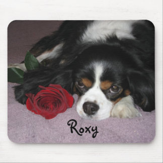 Musen vadderar musmatta