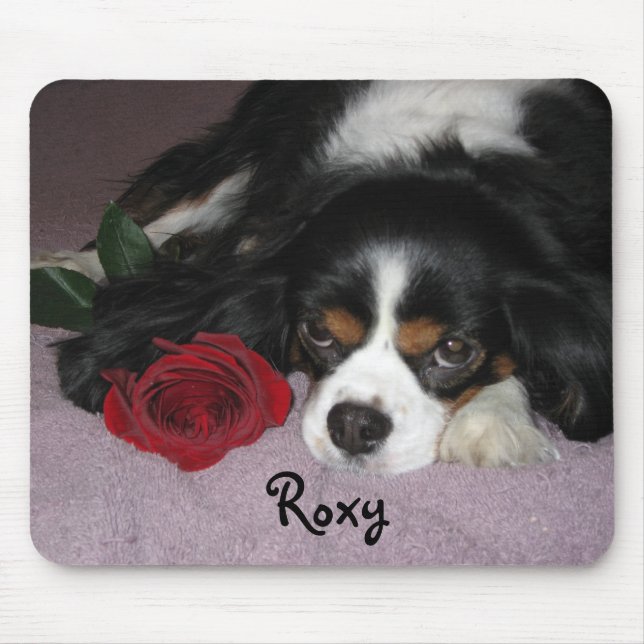 Musen vadderar musmatta (Framsidan)