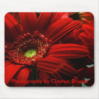 Musen vadderar -- Röd blommigt Musmatta