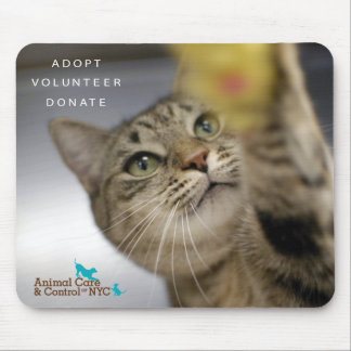 Musen vadderar "Time för lek ", Musmatta