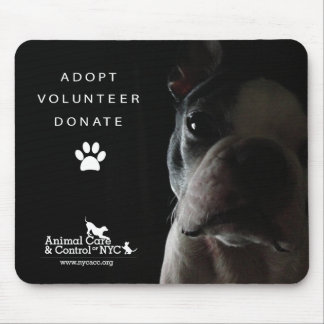 Musen vadderar "tyst att hålla ögonen på ", musmatta