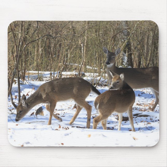 Musen vadderar - Whitetailhjort Musmatta (Framsidan)