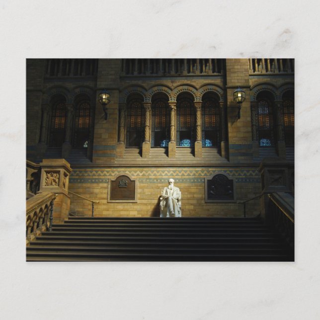 Museum för naturhistoria vykort (Framsida)