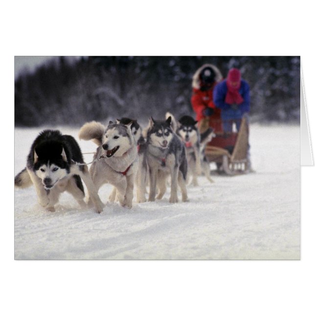 Mush Hälsningskort (Framsidan Horizontal)