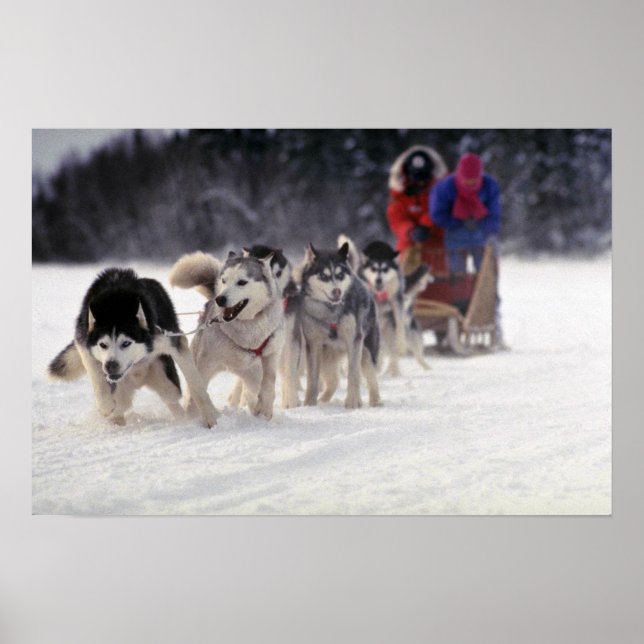 Mush Poster (Framsidan)