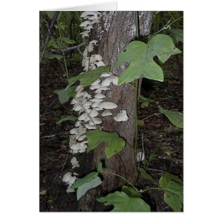 Mushroom4 Hälsningskort